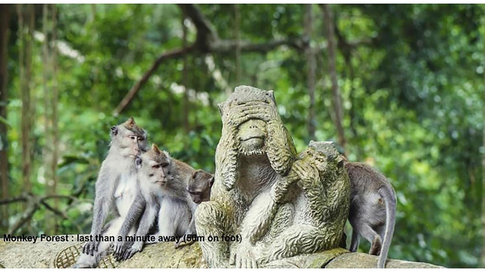 Pande Permai Bungalows Ubud Eksteriør billede